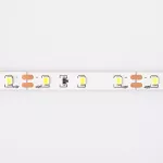 Taśma LED 300 4.8W/m 6500K 300lm/m 12V IP20 /5m/