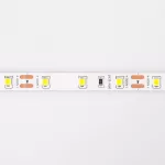 Taśma LED 300 4.8W/m 4000K 300lm/m 12V IP20 /5m/