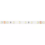 Taśma LED 300 10.8W/m 6500K 500lm/m 24V IP20 /5m/