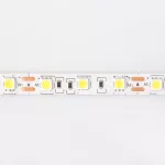 Taśma LED 300 14.4W/m 6500K 800lm/m 12V IP20 /5m/