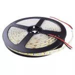 Taśma LED 600 9.6W/m 4000K 600lm/m 12V IP63 /5m/