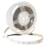 Taśma LED 300 14.4W/m RGB+CCT 12V IP20 /5m/