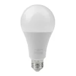 Żarówka LED CLASSIC GLS E27 20W 6500K 2000lm