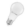 Lampa LED PERFORMANCE CLASS CLASSIC A 60 FR non-dim 8.5W/840 E27 LEDVANCE