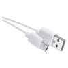 Kabel USB 2.0, wtyk A - C, ładowanie, transmisja danych, 0,2 m, biały