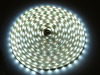 Taśma LED line® 300 SMD3528 12V 6200-6700K