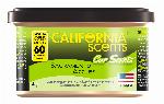 Zapach samochodowy CALIFORNIA Puszka 1x12/display Sacramento Apple