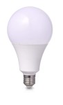 Żarówka LED E27 A95 25W 170-260V globe barwa światła ciepła