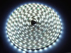 Taśma LED line® 300 SMD3528 12V 10000-13000K