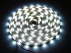 Taśma LED line® 150 SMD3528 12V 10000-13000K