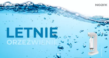 Logo LETNIE ORZEŹWIENIE